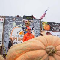 Winner Travis Gienger and his 2471 lb champion pumpkin